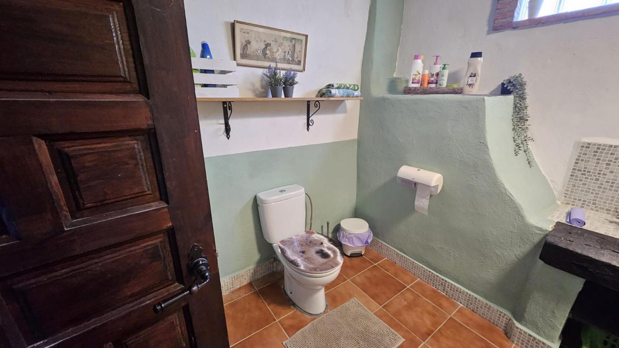 Experience Alpacas In Andalucia Apartment Cordoba Exterior photo